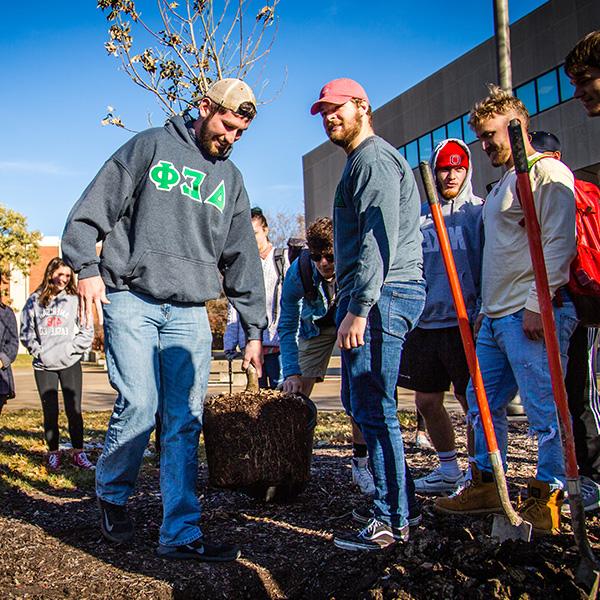 Tree Planting sustainability 